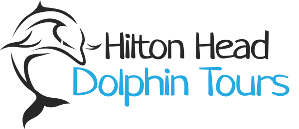 Hilton Head Dolphin Tours