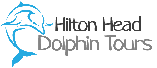 Hilton Head Dolphin Tours