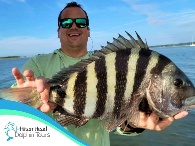 Crabbing vs Dolphin Tour Hilton Head - Man catches big fish on crabbing adventure