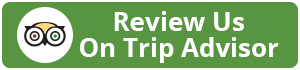 Leave Feedback on Trip Advisor