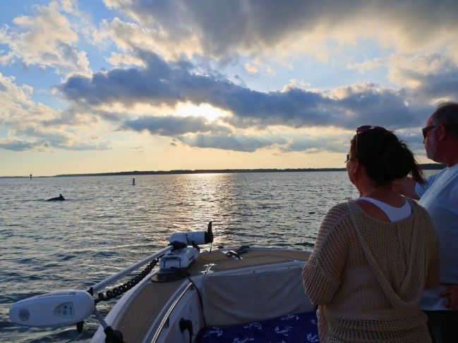 couple watching dolphins on a private Hilton Head sunset cruise